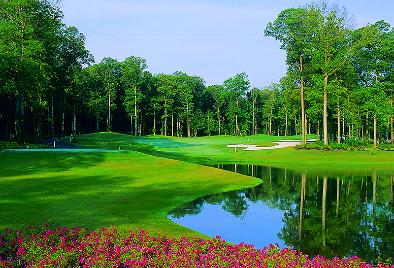 a golf course surrounded by flowers and trees