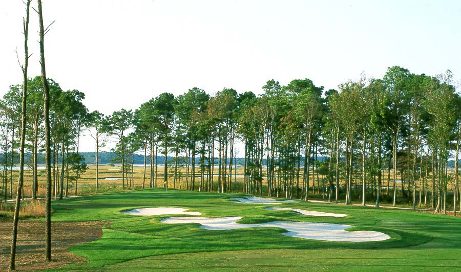 a golf course surrounded by trees