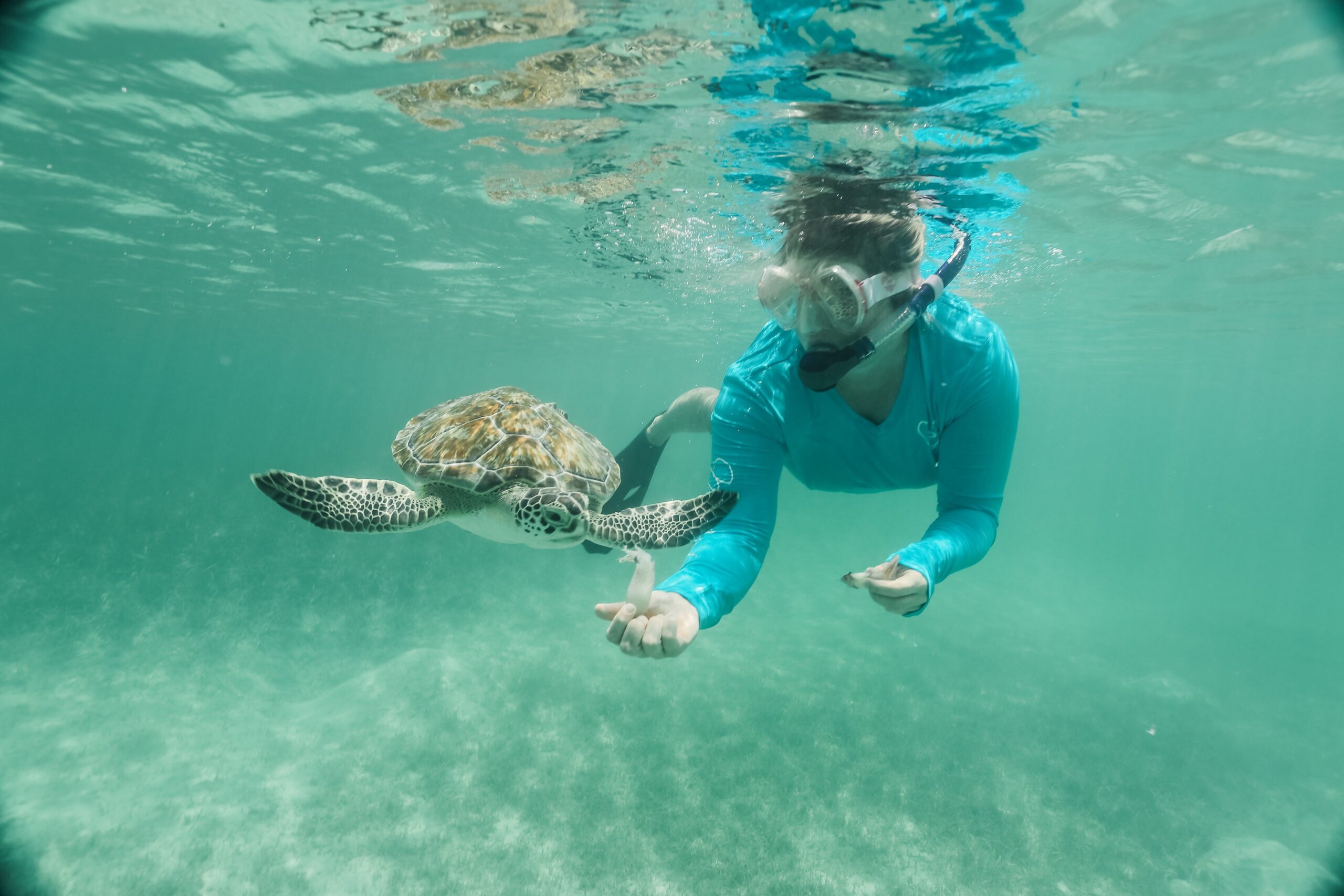 a woman swimming in the water with a turtle